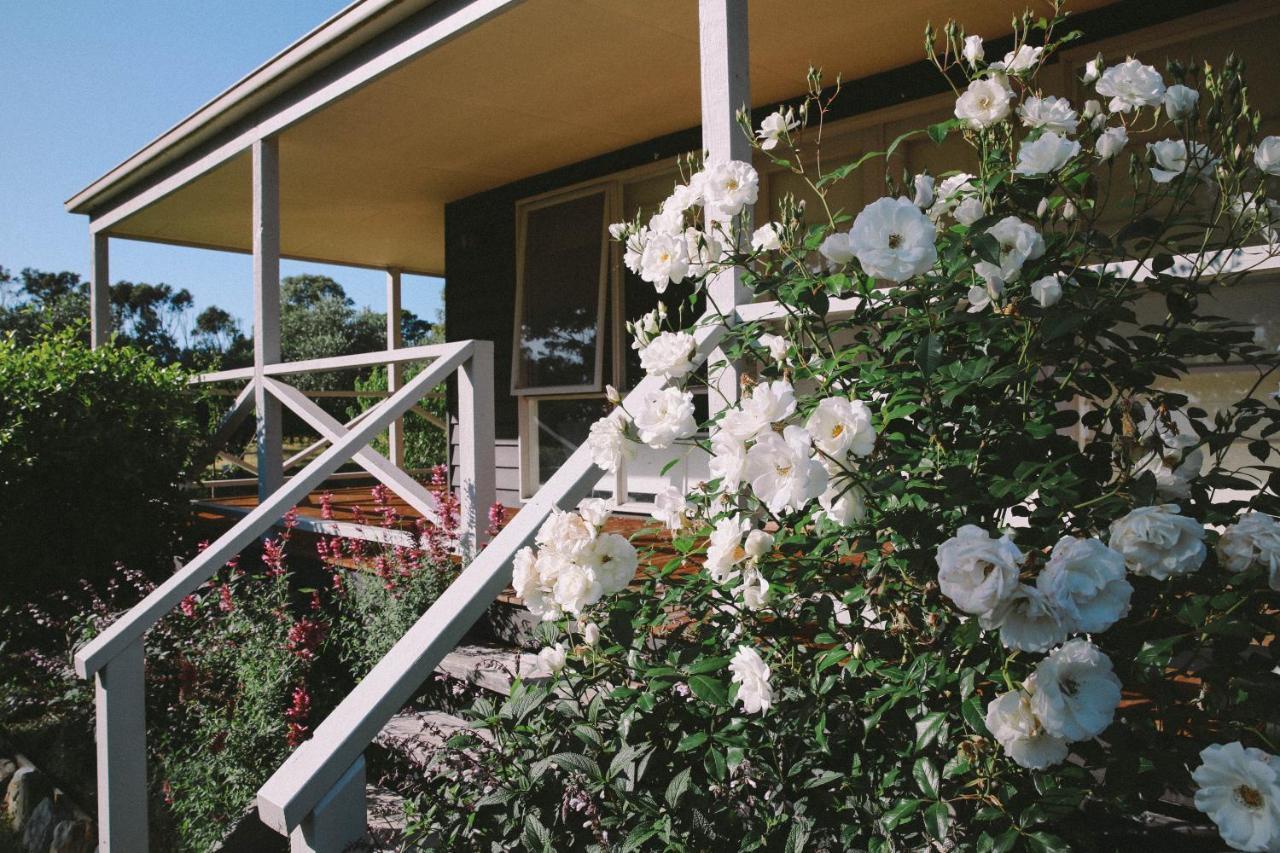 Olivi Bed & Breakfast Yanakie Luaran gambar